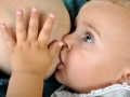 Рацион питания матери в первые месяцы лактации.